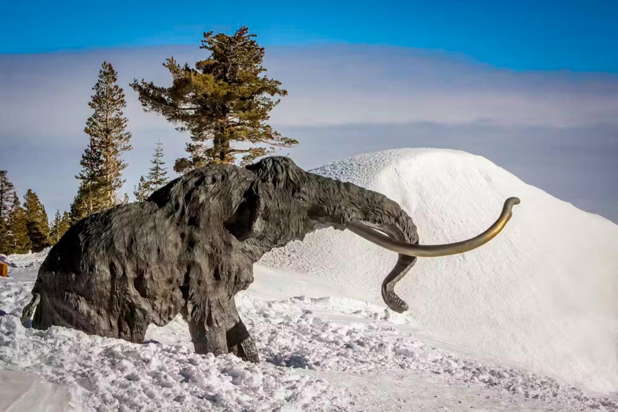 La Vista Blanc 68 Daire Mammoth Lakes Dış mekan fotoğraf
